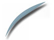 image of blue feather from FLS logo